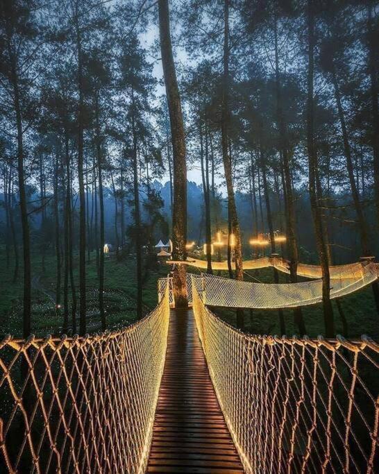 Willa The Log Castle~Stunning Mountain Views~Hot Tub Sevierville Zewnętrze zdjęcie